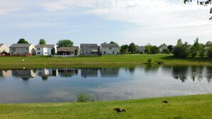 Une vue paisible sur un lac, avec des maisons en arrière-plan et une zone herbeuse au premier plan.