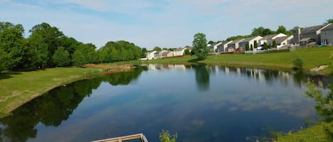 Una vista tranquila de un lago con un muelle de madera que llega al agua, rodeado de exuberante vegetación y edificios residenciales.