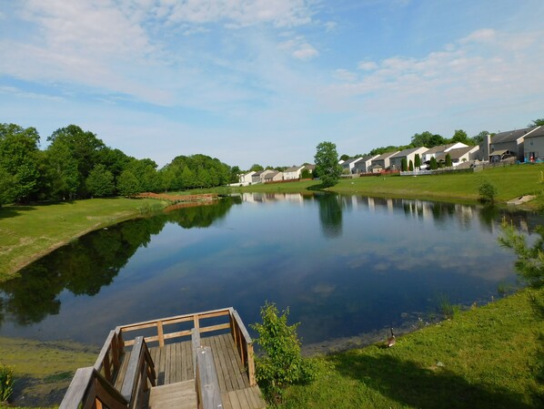 Una vista tranquila de un lago con un muelle de madera que llega al agua, rodeado de exuberante vegetación y edificios residenciales.