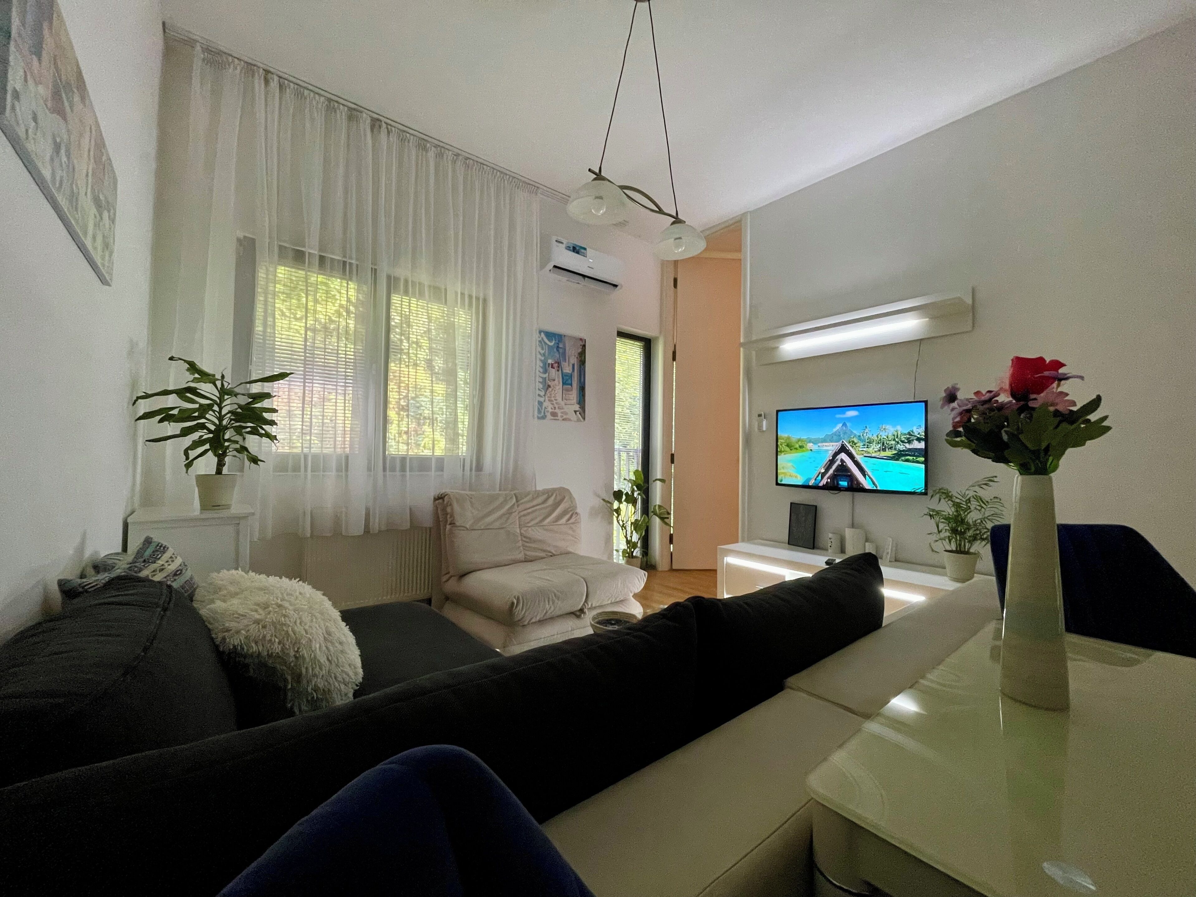 En moderne stue med sofa, sofabord, fjernsyn og en potteplante.