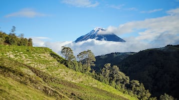Jardín
