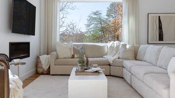 Smart TV, fireplace, books