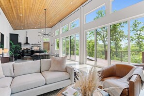 TV, fireplace, books