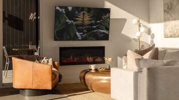 Smart TV, fireplace, books