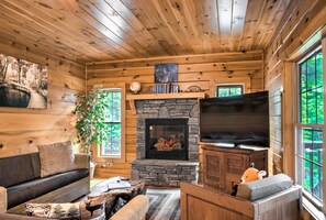 TV, fireplace, books, video library