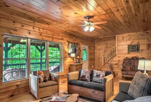 TV, fireplace, books, video library