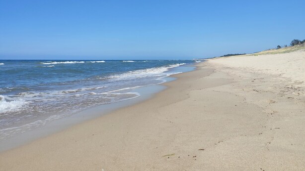 Une plage avec un rivage sablonneux et des vagues.