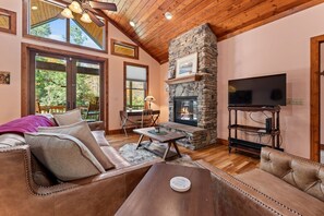 TV connectée, cheminée, livres, médiathèque