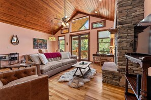 Smart TV, fireplace, books, music library