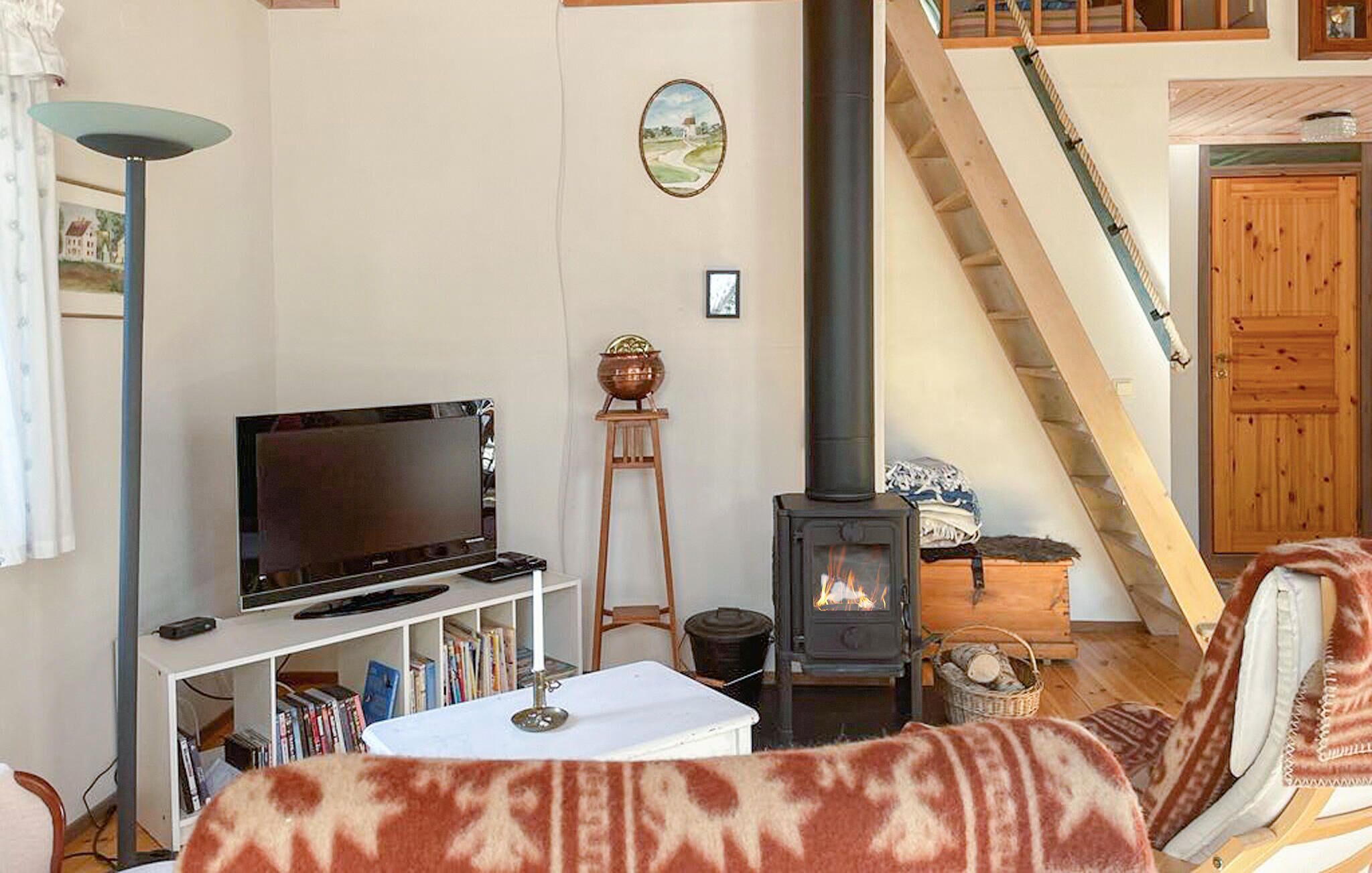 A cozy living room with a fireplace, a television, and a bookshelf.