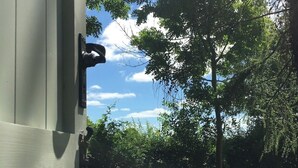 A view through a partially open door with a metal latch, revealing a lush green landscape with trees and a clear sky.