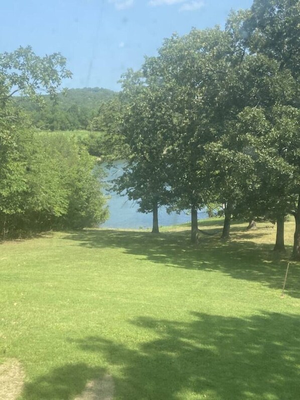 A grassy area with trees and a body of water.