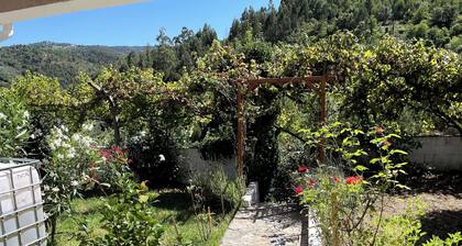 4-bedroom country house in charming Penela with AC