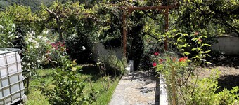 4-bedroom country house in charming Penela with AC