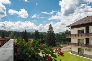 Property grounds - Avalanche Chalet w. free street parking (Brașov)