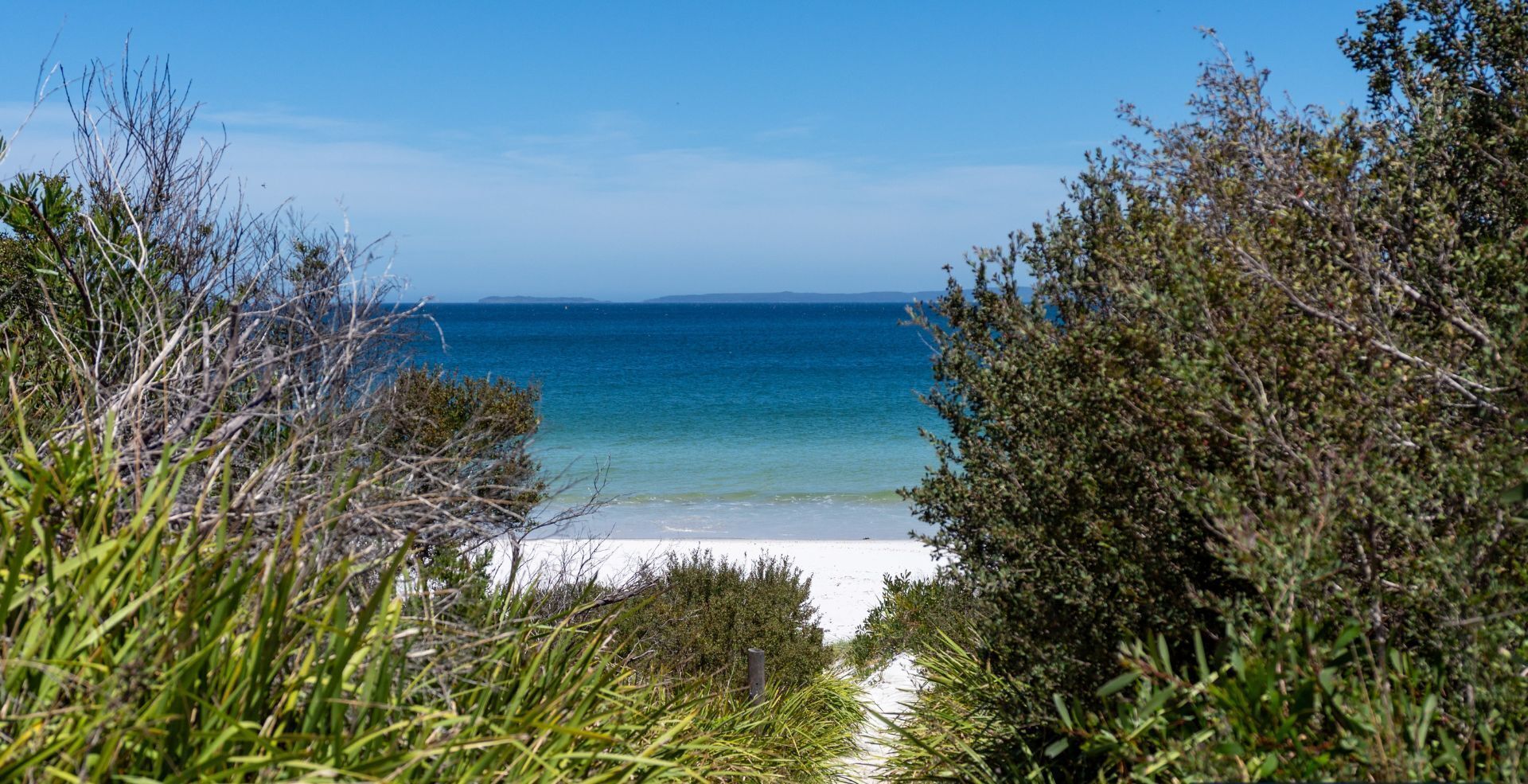 A beach with clear blue water, surrounded by greenery.