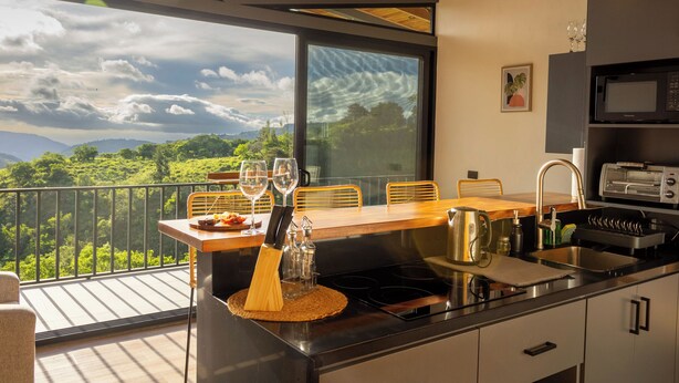 A modern kitchen with a large window overlooking a lush landscape.