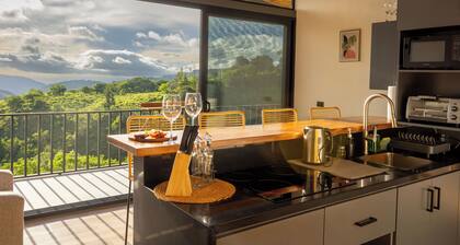 Stunning view house in Monteverde and reforestation project.