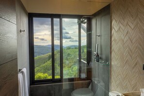 Shower, eco-friendly toiletries, hair dryer, towels