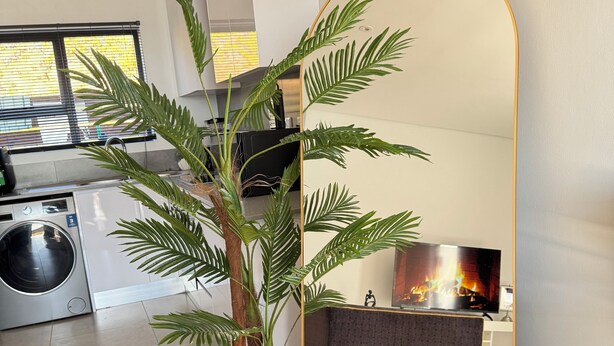 Un soggiorno moderno con un grande specchio, una pianta in vaso e una TV sullo sfondo.