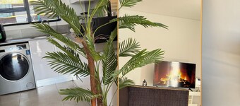 Charming Peaceful Hilton 2-Bed Home