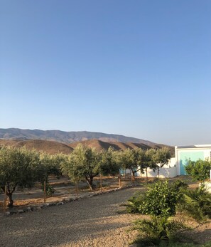 Property grounds - Quality Rustic Retreat in Tabernas Countryside (Tabernas)