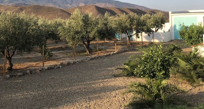 Quality Rustic Retreat in Tabernas Countryside