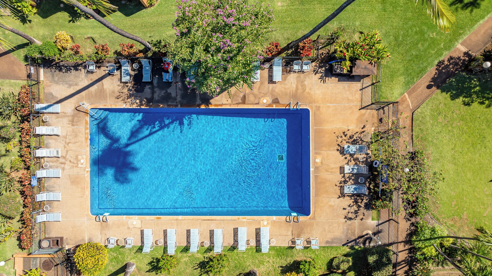Outdoor pool, open 9:00 AM to 9:00 PM, sun loungers
