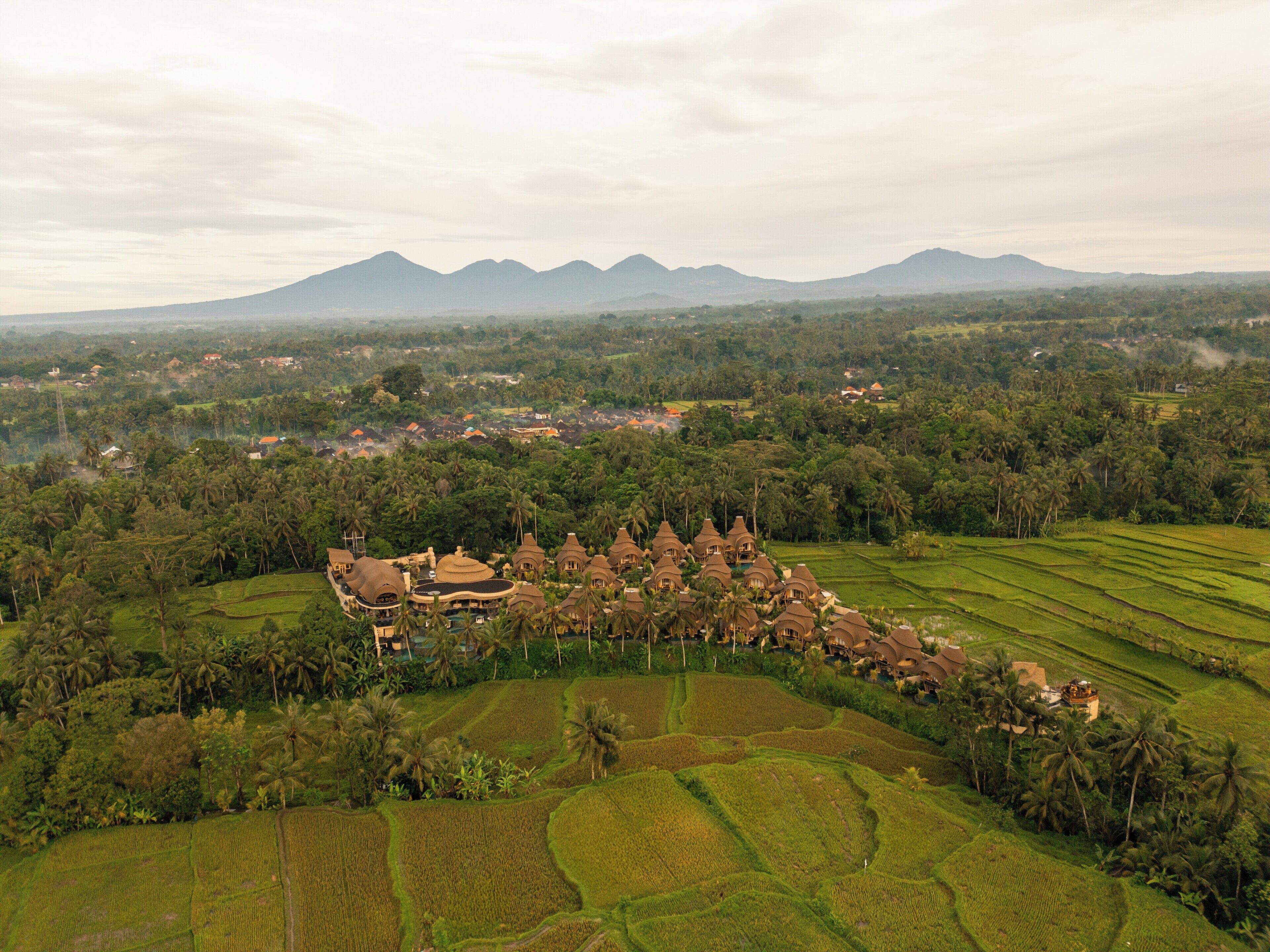 Vista aérea de un resort con varias edificaciones tipo bungalow rodeado de exuberante vegetación y campos de arroz escalonados.