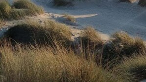 A coastal landscape with dunes and a clear sky. - GuestReady - Elegant beachside stay in Apúlia (Apúlia e Fão)