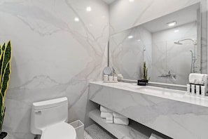 Shower, hair dryer, towels