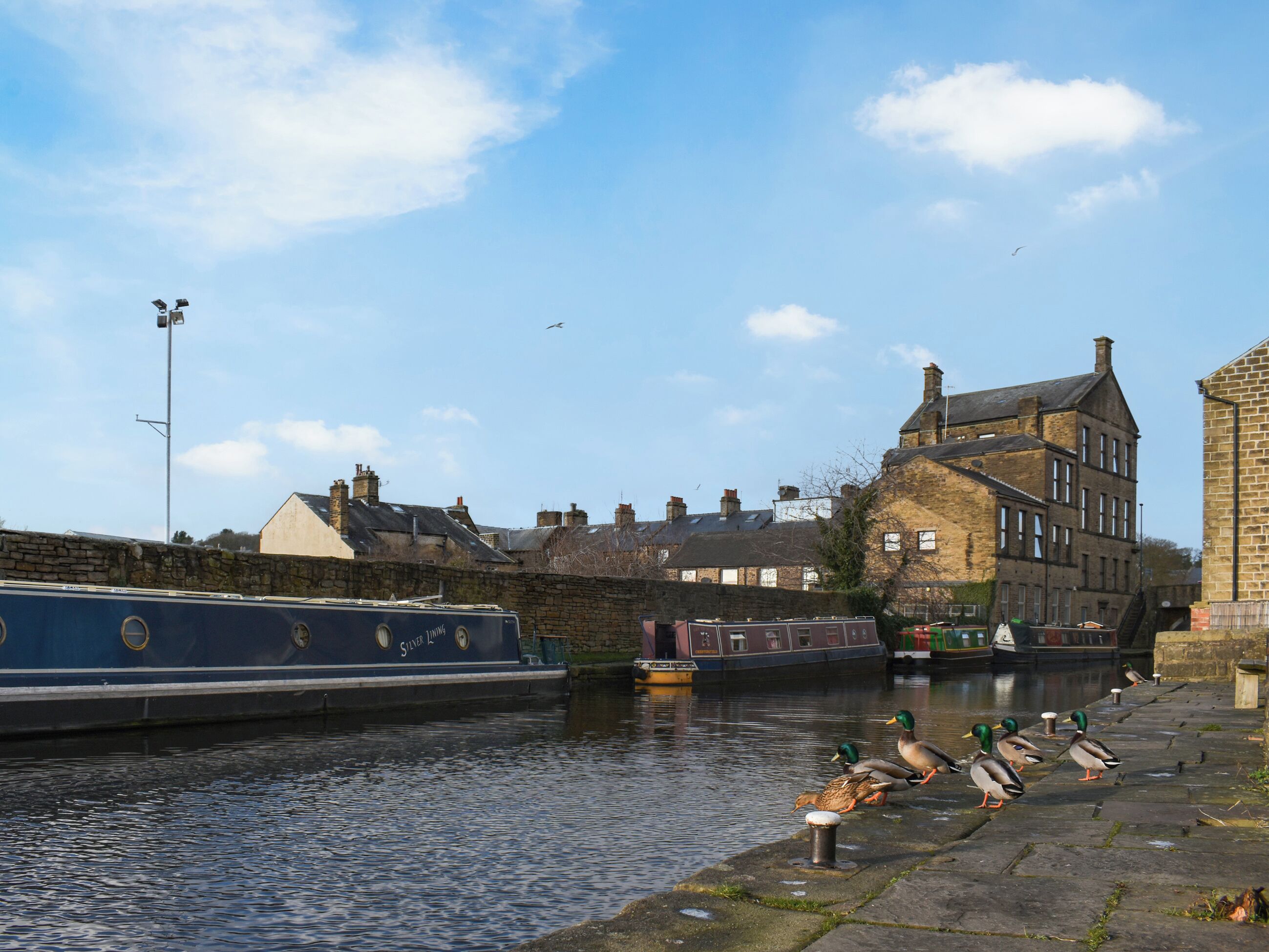 A canal with boats, ducks, and historic buildings.