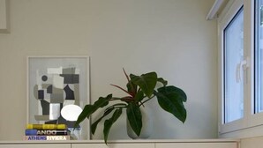 Een netjes ingerichte hotelkamer met een bed, kussens, een potplant en een ingelijste afbeelding aan de muur.