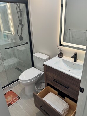 Hair dryer, towels, soap, shampoo - Newly Private Remodeled 2-Bedroom (San Francisco)