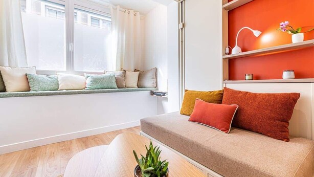 Un salon moderne avec un canapé, des coussins, une plante en pot et une étagère ornée d’objets décoratifs.