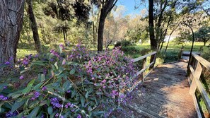 A wooden bridge leading to a grassy area with trees and purple flowers.