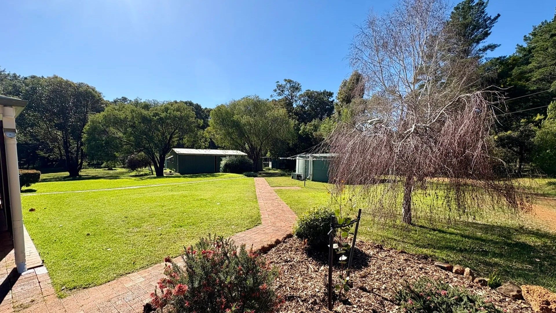 A well-maintained garden with a paved pathway, a small bush, and a tree.