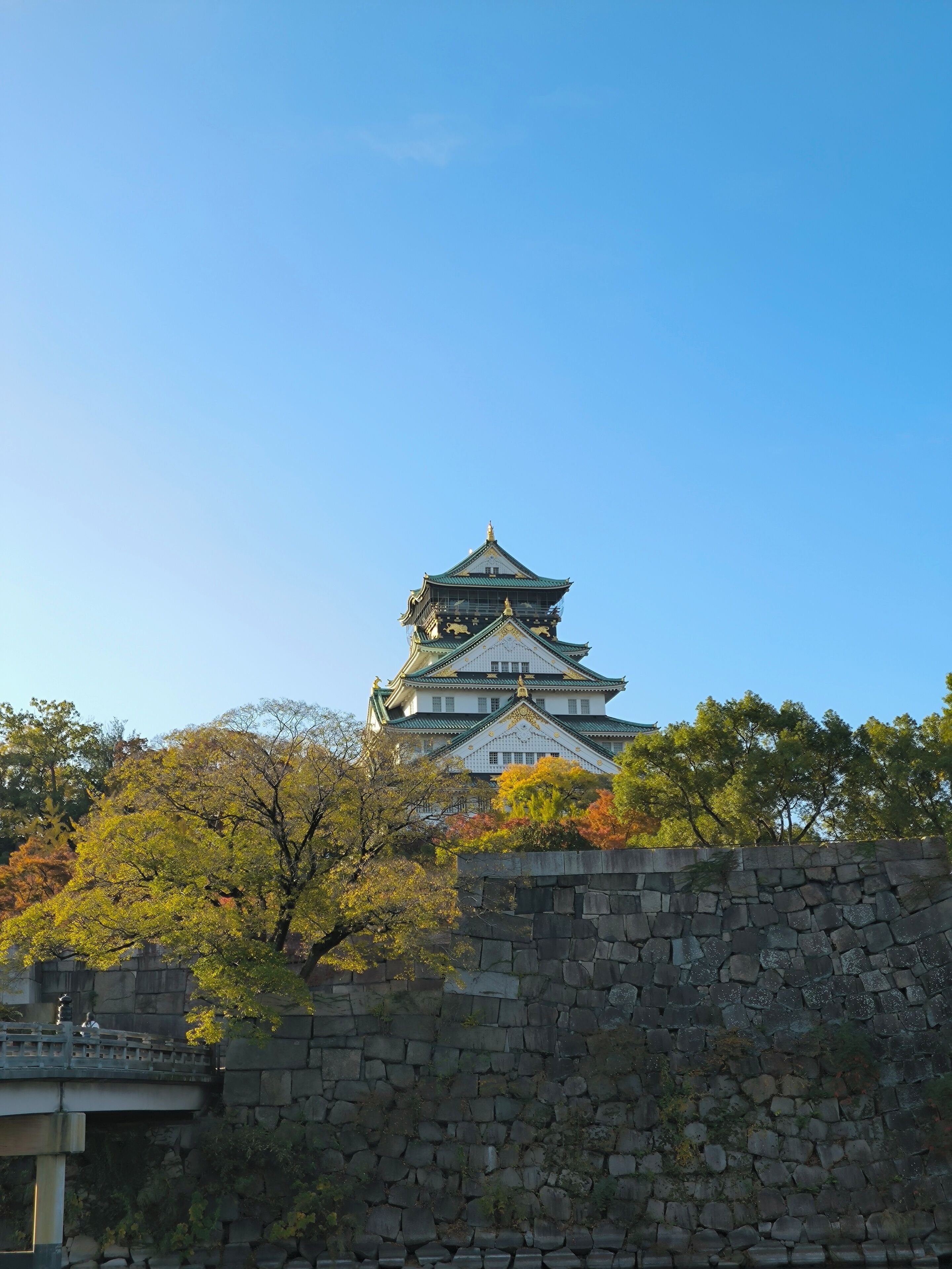 Un château japonais traditionnel, doté de plusieurs niveaux et d’un toit végétalisé, entouré d’arbres et d’un mur de pierre.