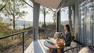 Desk, laptop workspace, iron/ironing board, free WiFi