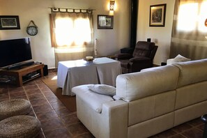 TV, fireplace, DVD player