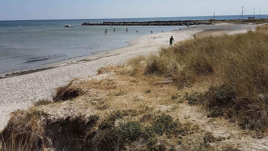 5 Star Holiday Home in Hals