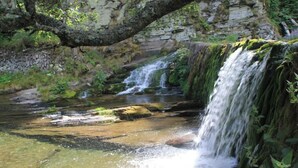 Una cascada natural con agua cristalina, rodeada de rocas y follaje.