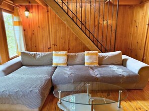 Televisor i llar de foc