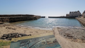 بالقرب من الشاطئ