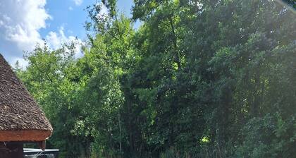 Maison de vacances 'Au bord de l'eau, Maison de Bateau' avec terrasse privée