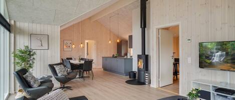 TV, fireplace, video-game console, foosball