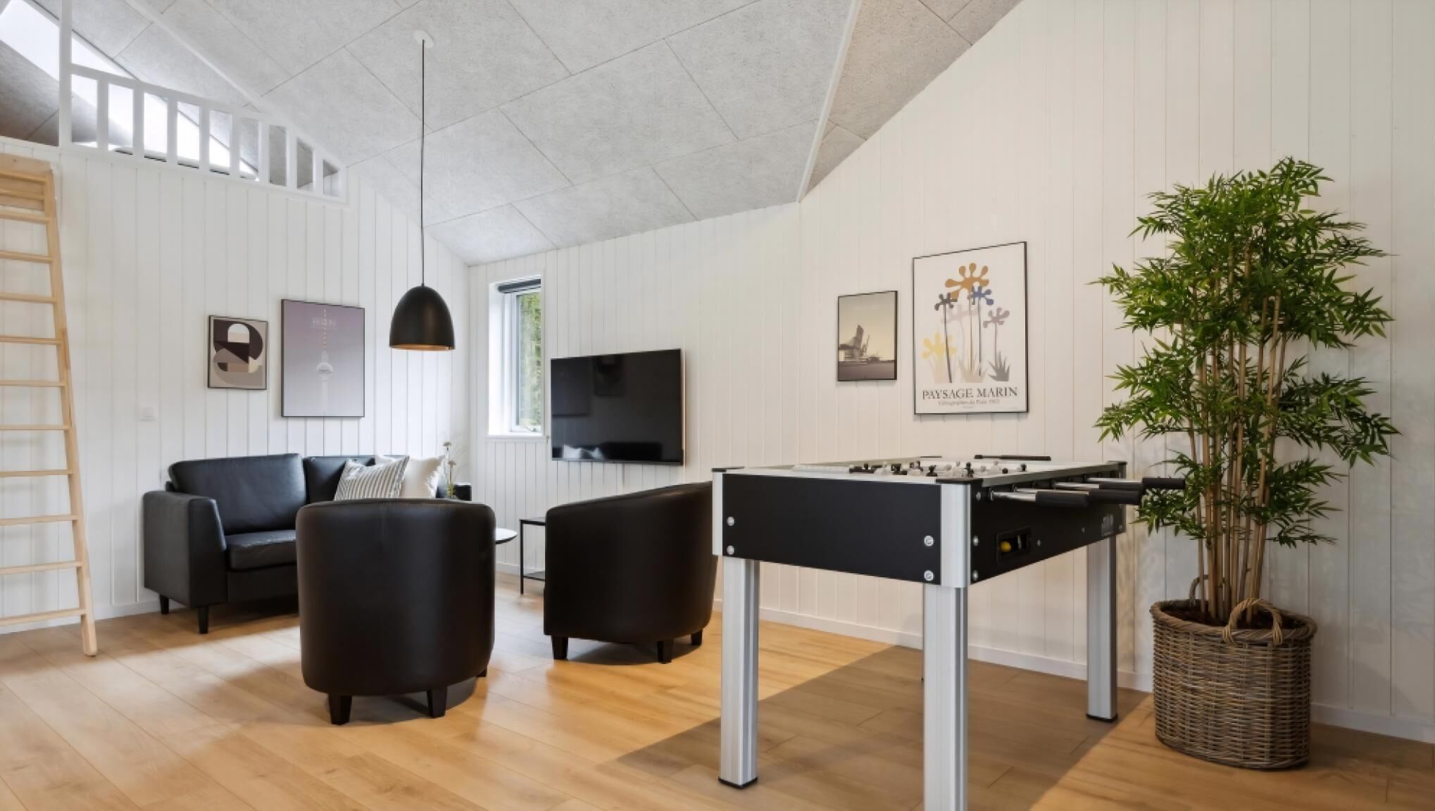 Ein modernes Wohnzimmer mit einem Kicker, zwei Sofas, einem Fernseher und einer großen Pflanze.