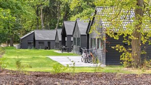 Una hilera de cabañas modernas con techos inclinados, un camino pavimentado y bicicletas estacionadas afuera.