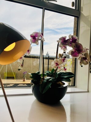 Interior - Central & Modern - Private Terrace - Dog Friendly (Aberdeen)