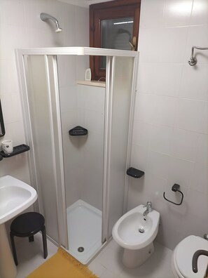 Shower, hair dryer, bidet, towels